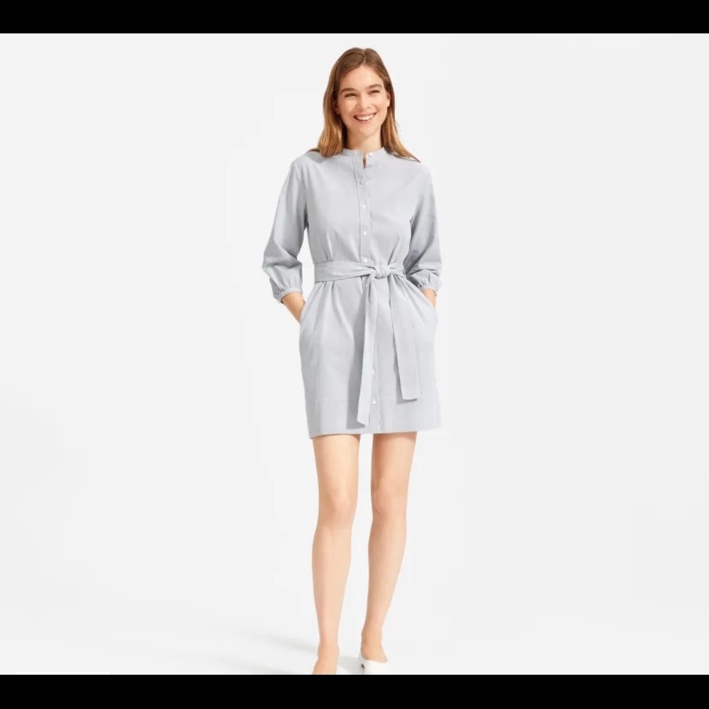 Everlane The Cotton Weave Collarless Shirtdress